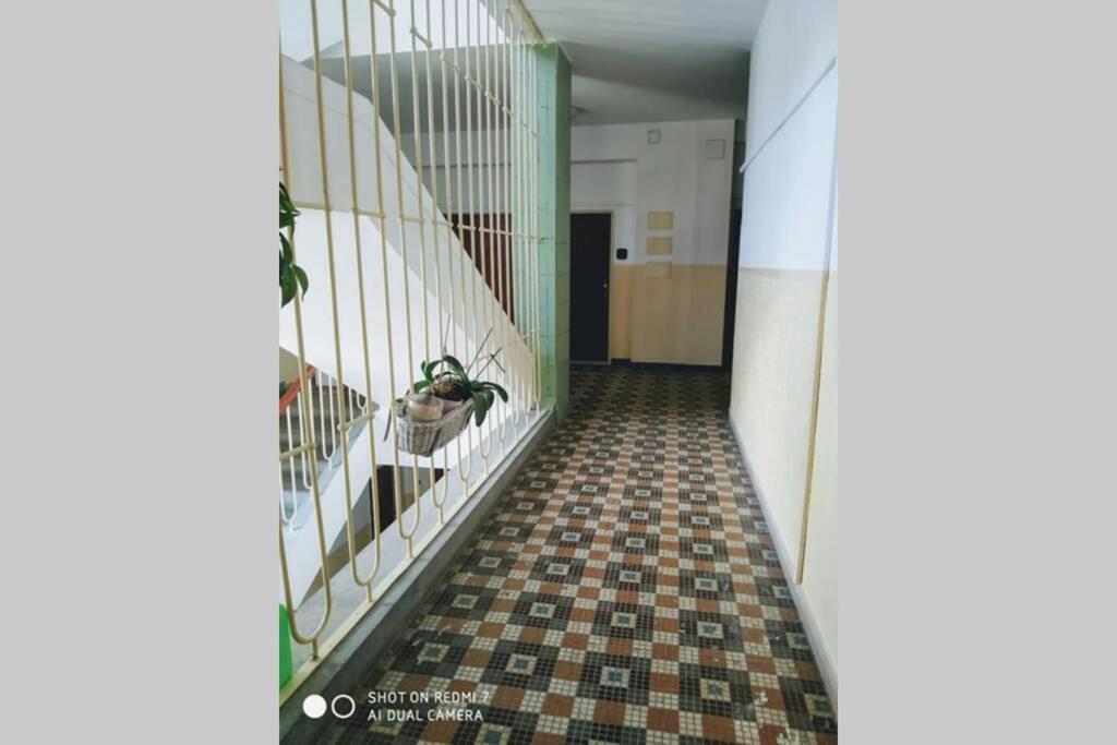 A Cosy Studio In The City Centre Bratislava Exterior foto